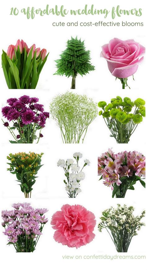 what are the cheapest fower for weddings